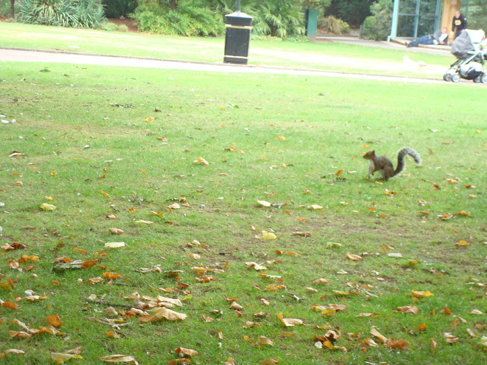 in parcul Manor,Exmouth (33)