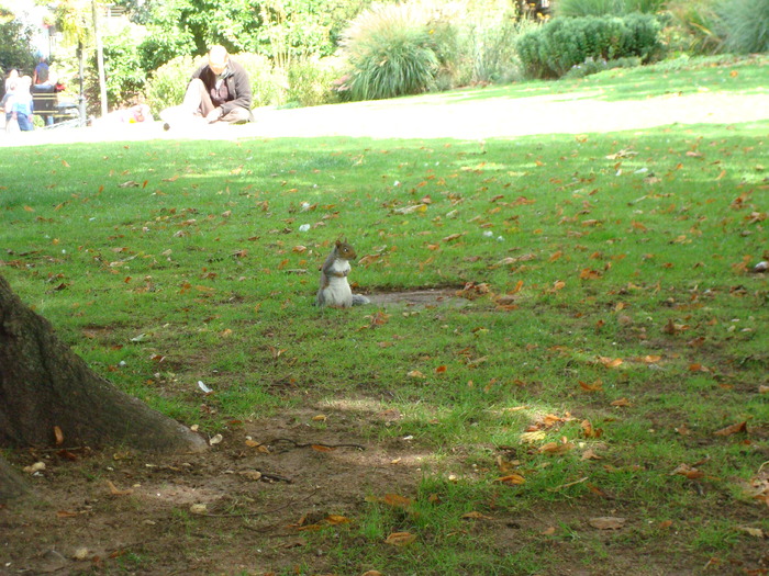 in parcul Manor,Exmouth (51)