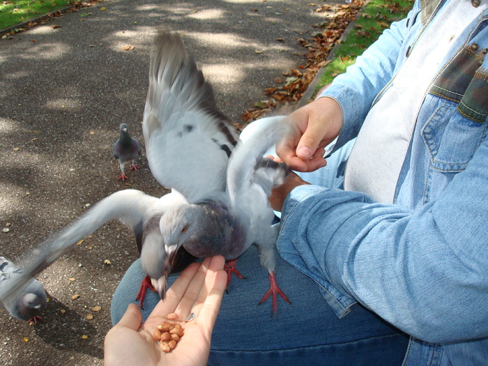 in parcul Manor,Exmouth (53)