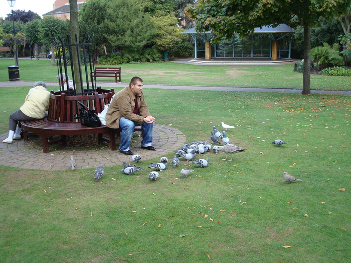 in parcul Manor,Exmouth (78)