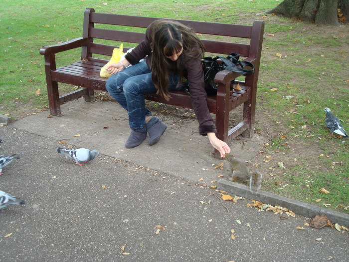 in parcul Manor,Exmouth (81)