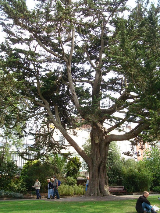 in parcul Manor,Exmouth (89)