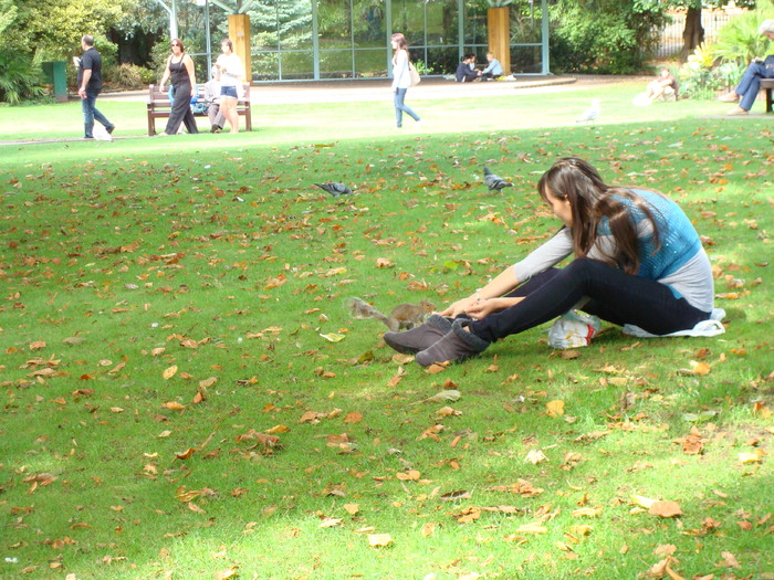 in parcul Manor,Exmouth (96)