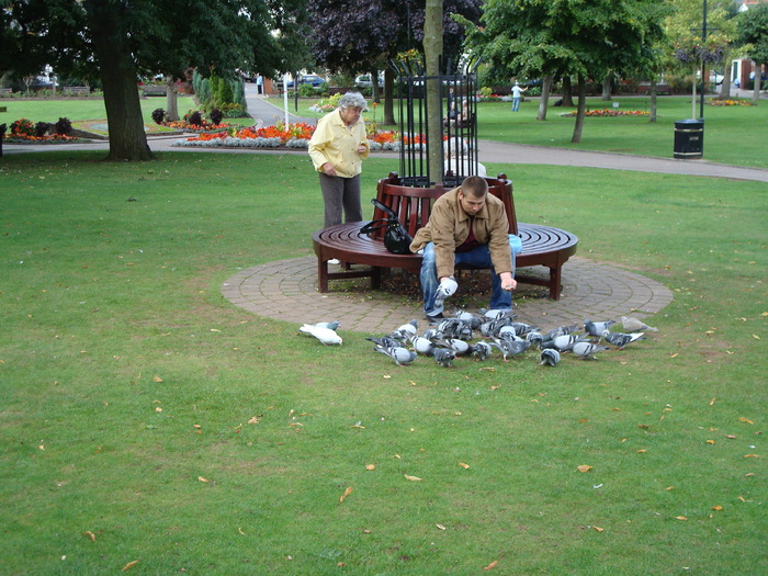 in parcul Manor,Exmouth (109) - PARCUL MANOR EXMOUTH