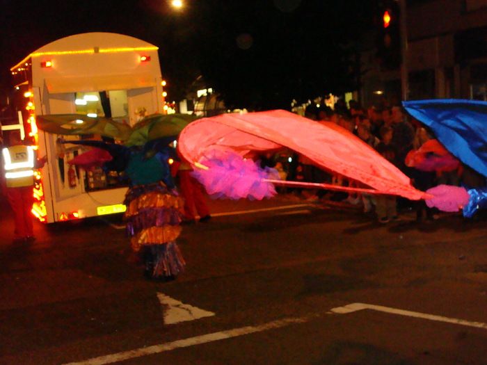 CARNAVAL (165)