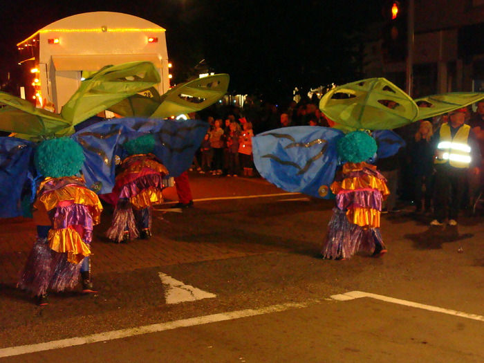 CARNAVAL (169) - CARNAVALUL DIN EXMOUTH