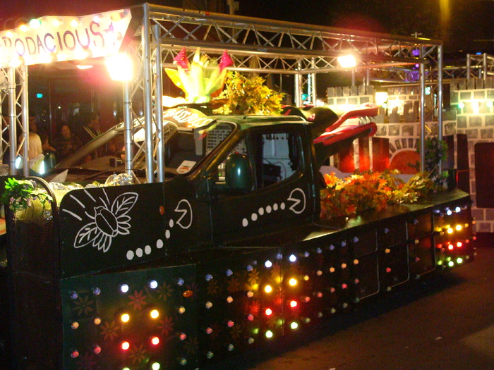 CARNAVAL (172) - CARNAVALUL DIN EXMOUTH