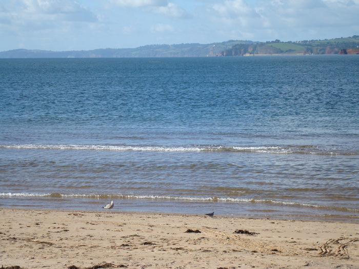 Oceanul (49)