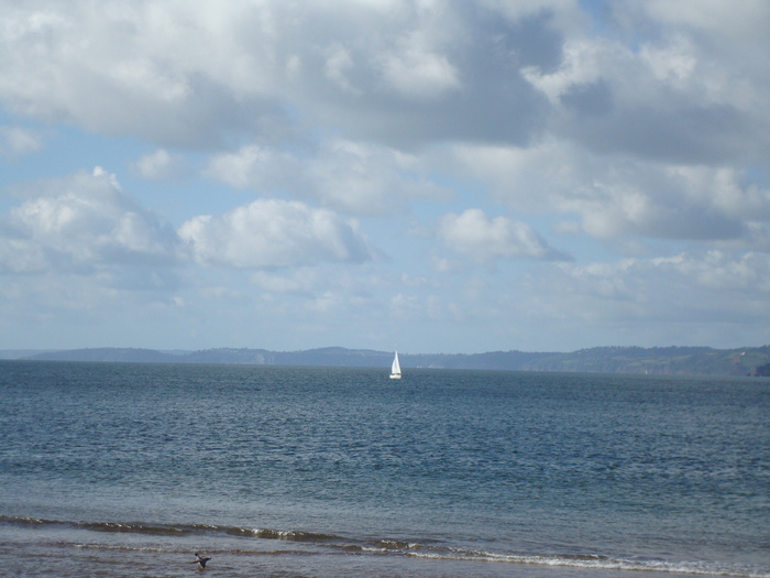 Oceanul (52)