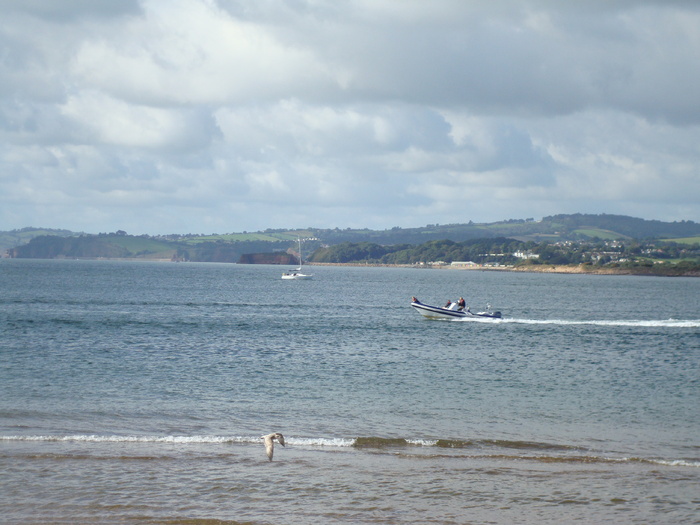 Oceanul (56)
