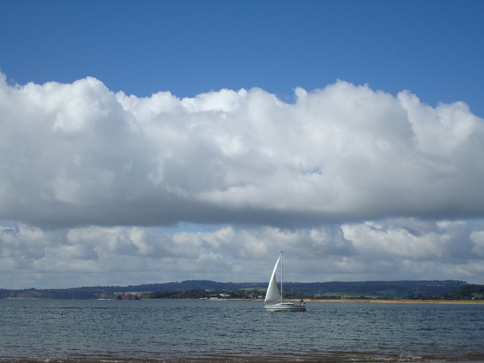 Oceanul (60)