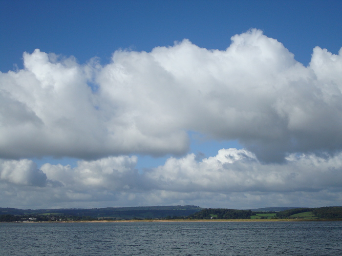 Oceanul (61)
