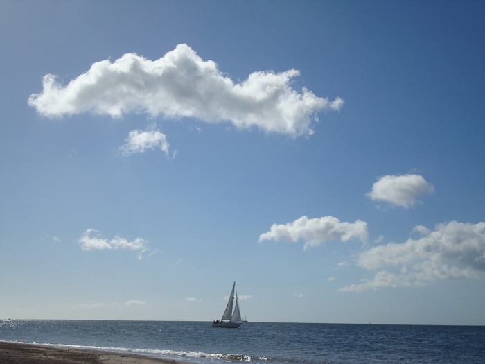 Oceanul (63)