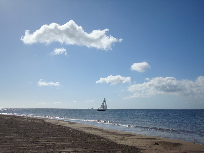 Oceanul (64)