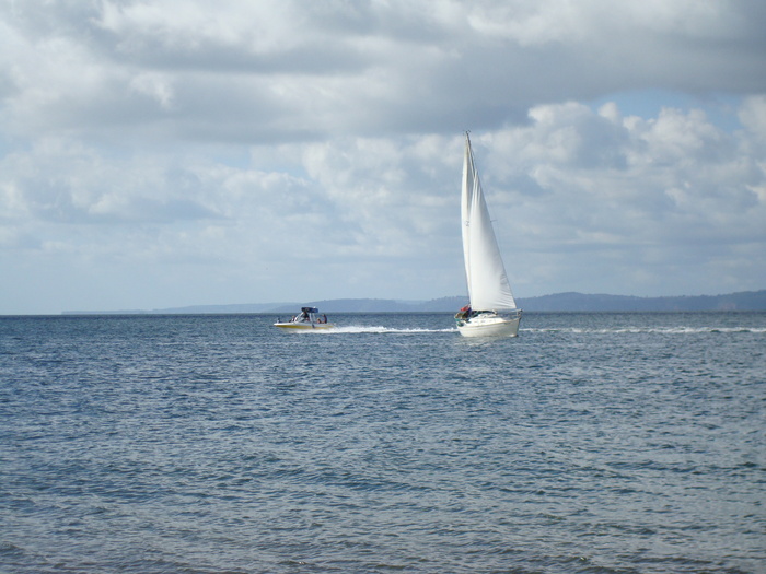 Oceanul (65)