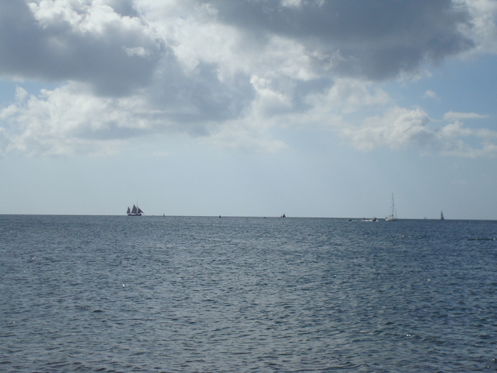 Oceanul (70)