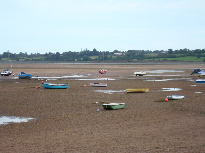in exmouth (30) - EXMOUTH _ANGLIA