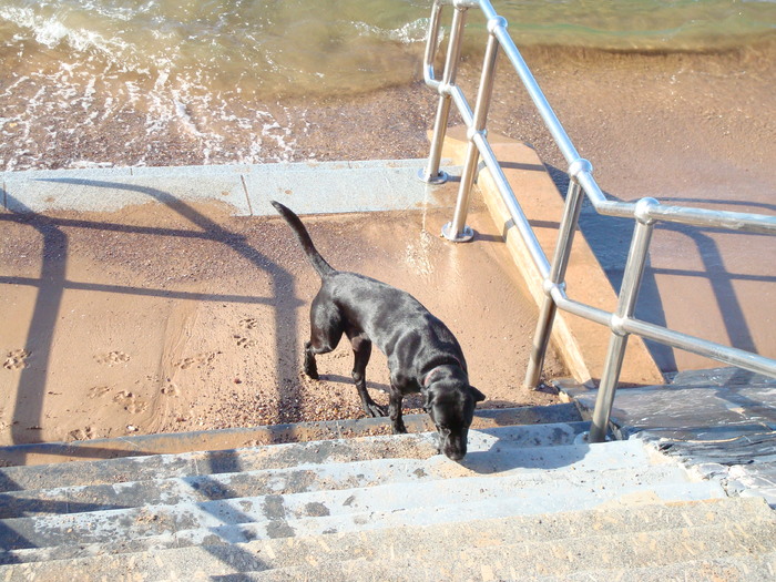 in exmouth (70) - EXMOUTH _ANGLIA