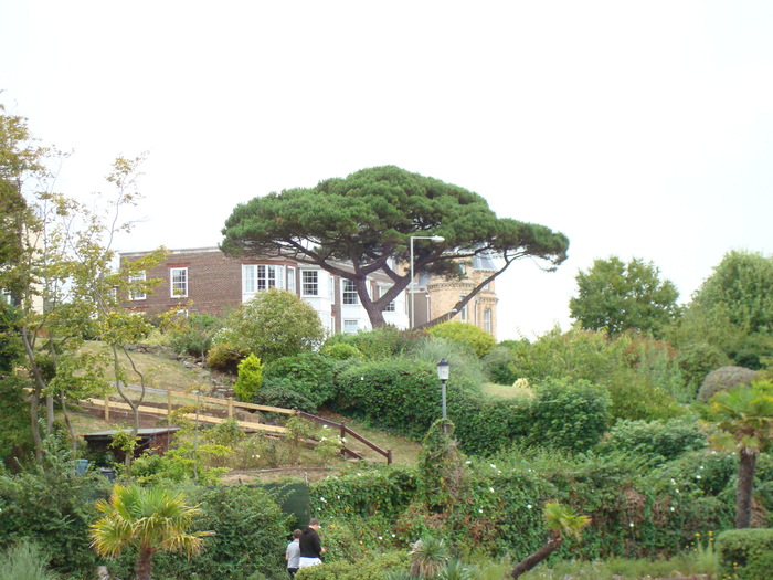 in exmouth (111) - EXMOUTH _ANGLIA