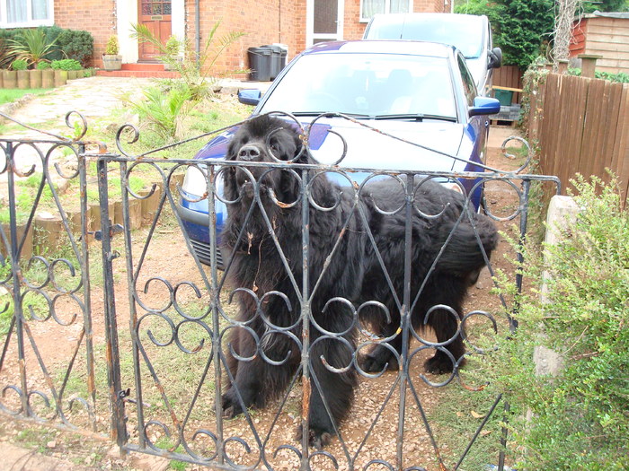 in exmouth (134) - EXMOUTH _ANGLIA