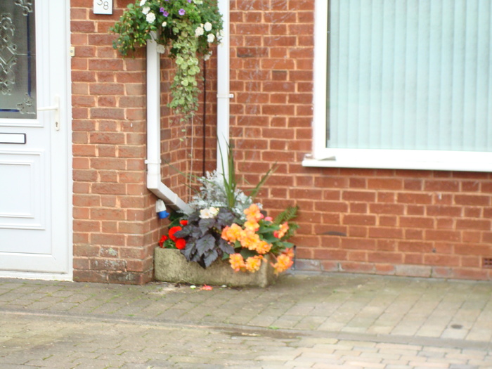 in exmouth (135) - EXMOUTH _ANGLIA