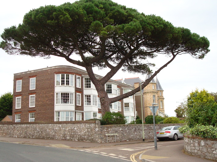 in exmouth (144) - EXMOUTH _ANGLIA