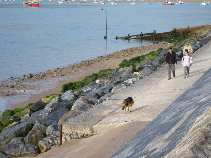 in exmouth (145) - EXMOUTH _ANGLIA