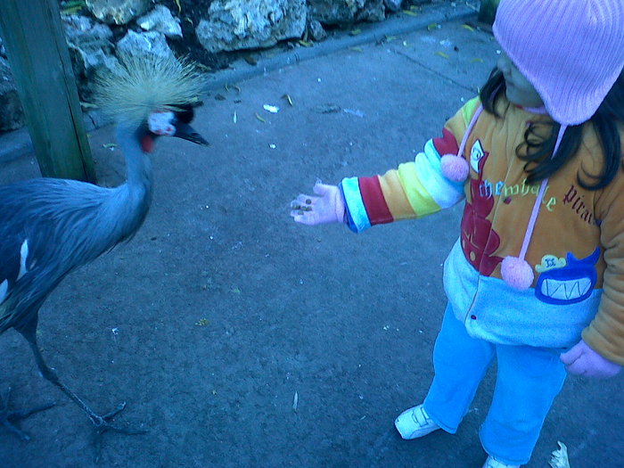 IMG00373-20101121-1026