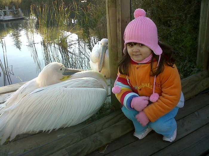 IMG00363-20101121-1015