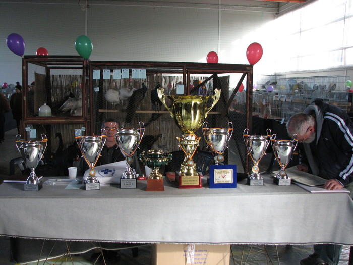noi 2010 breaza 408; masa cu trofeele ravnite de toti participantii

