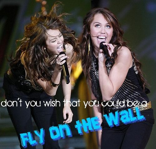 flyonthewall