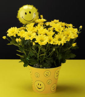 Yellow_Daisy_Smiley_Face_Tin_H - smiley face