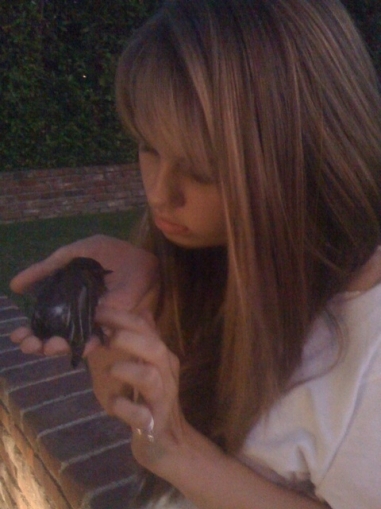 normal_048 - Twitter - Pics