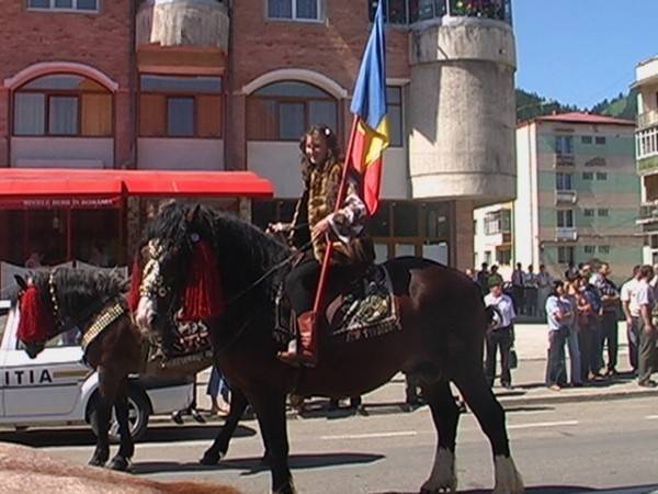 TNPZEMZABSHSBDUFSCS - a - Poze Bucovina cai