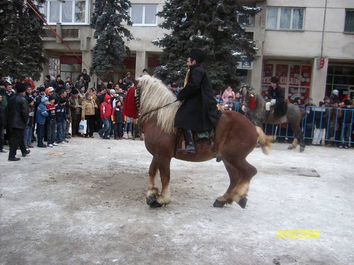 NJTRQAHXKFBAYIAIZZL - a - Poze Bucovina cai