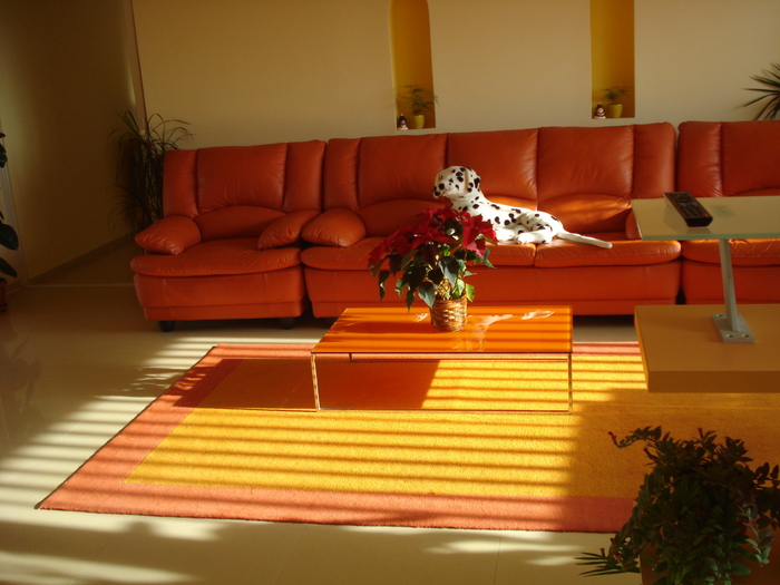 SOARE DE DECEMBRIE..