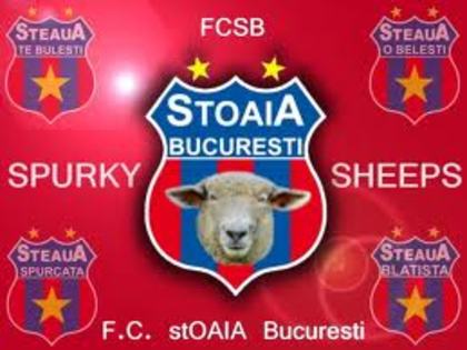 images - Steaua bucuresti i love