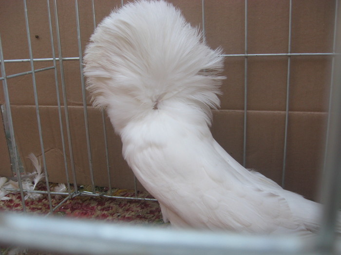 Picture 116