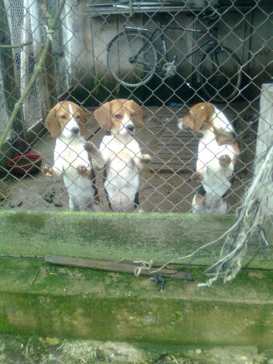 folder gol 035; St. Brendy ( baiat) mijloc, Missy ( mama) Dr. Bemby ( fetitza)
