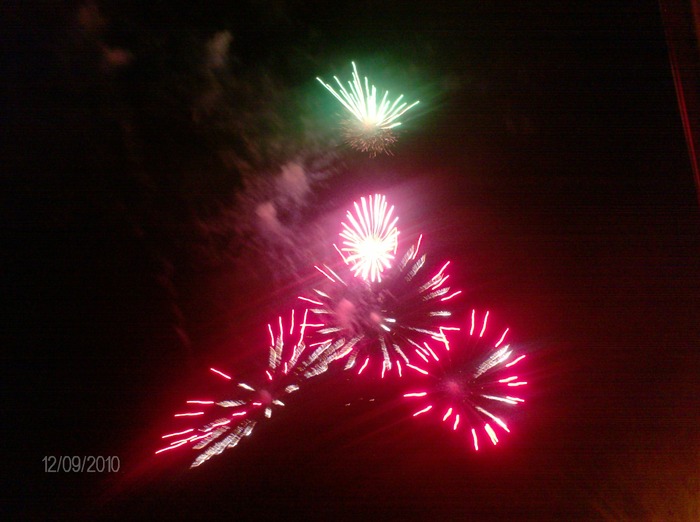 felis fiestas