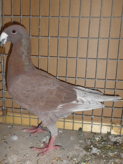 P1010121 - 4 Expo erfurt 2010