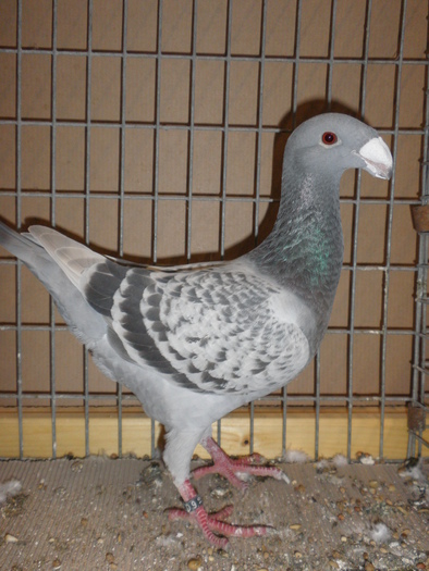 P1010122 - 4 Expo erfurt 2010