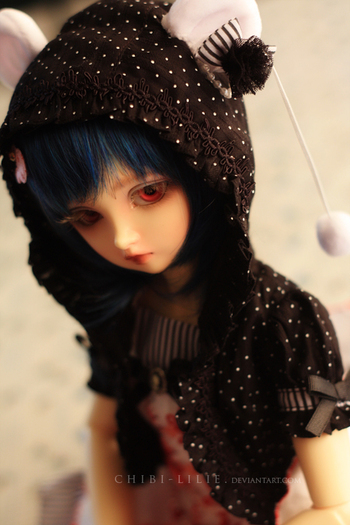 As_my_princess_should_be_13_by_chibi_lilie