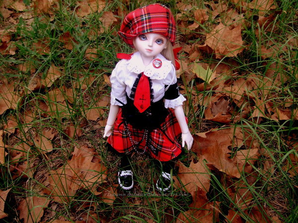 Autumn_Leaves_by_AutumnSolstice