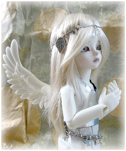 db3530745aadc629f7f4e65f6be167da