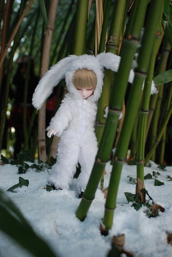 Snow_Bunny_3_by_deVIOsART