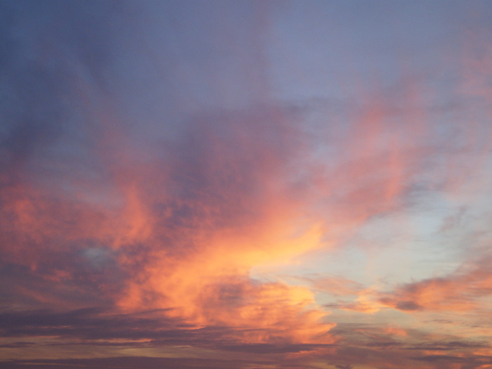 APUS DE SOARE-DEC.2010