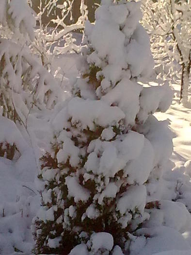 Image0928 - iarna in sat