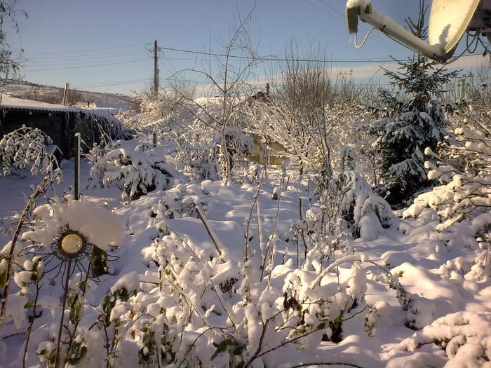 Image0915 - iarna in sat