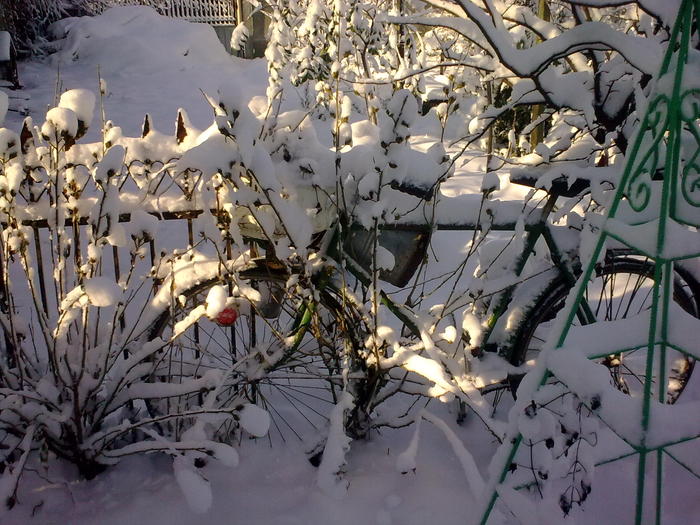 Image0918 - iarna in sat